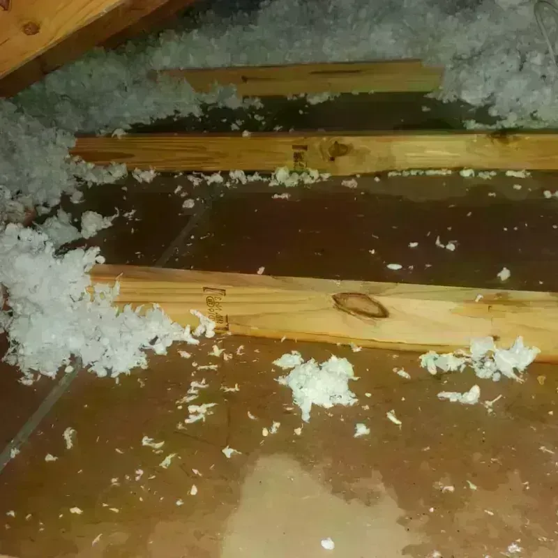 Attic Water Damage in Macoupin County, IL