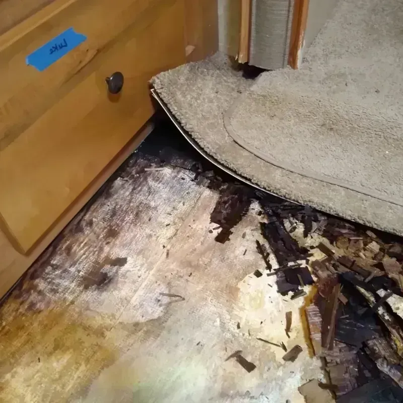 Best Wood Floor Water Damage Service in Macoupin County, IL